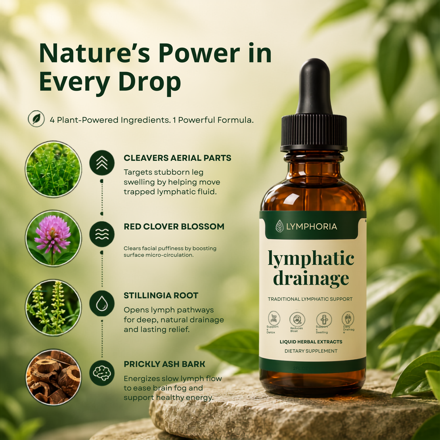 Lymphatic Wellness Drops